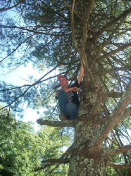 cccook profile photo