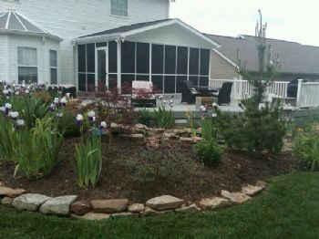 chily1968 profile photo