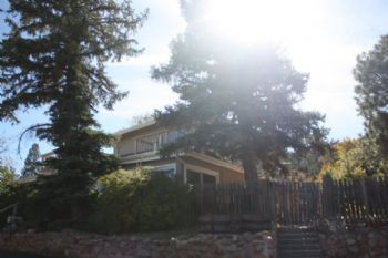 sandypants profile photo