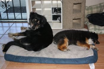 sandypants profile photo