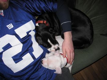 rmcginniss profile photo