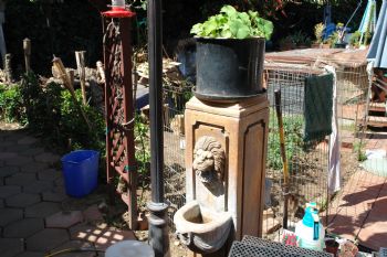 woofhound profile photo