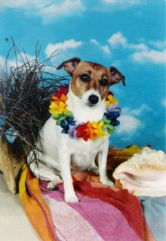 althea357 profile photo