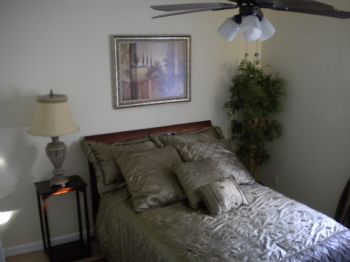 gelica profile photo