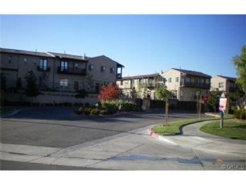 briancapon10 profile photo