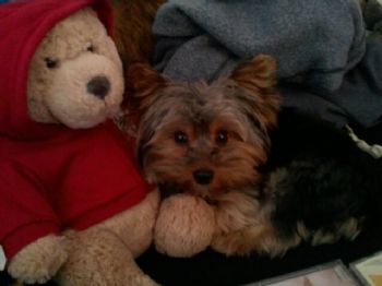 diane0234 profile photo