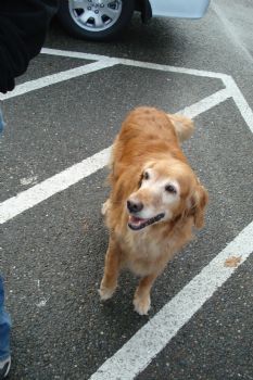 CaitlynRose profile photo