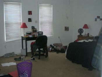 treasespiece profile photo