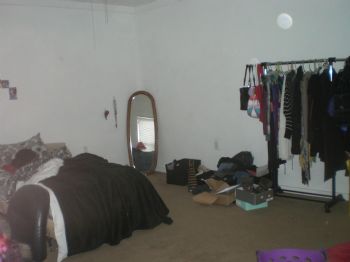 treasespiece profile photo