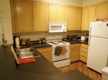 amberne88 profile photo