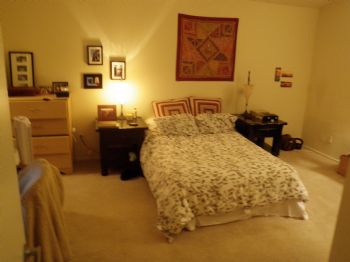 amberne88 profile photo