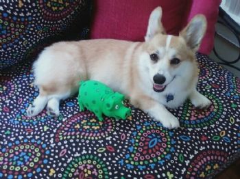 daddyears profile photo