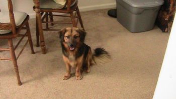 ashbme profile photo