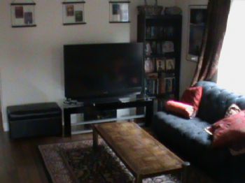 mt.view profile photo