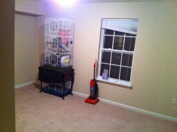 abyrne44 profile photo