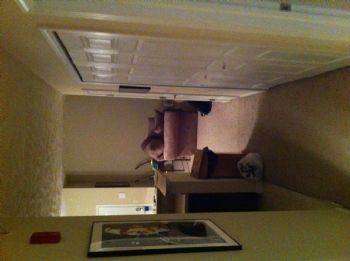 abyrne44 profile photo