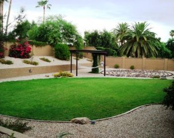 CustomID profile photo