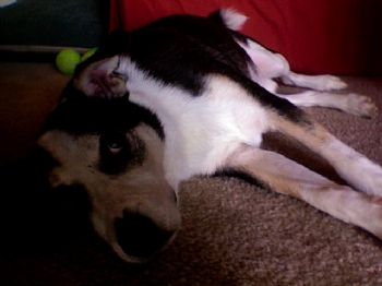 sarahd81 profile photo