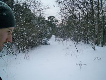 soundmusic profile photo