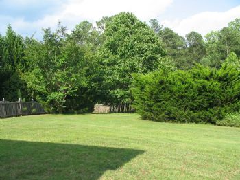 cvillenurse profile photo