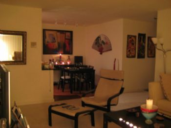 melgib5555 profile photo