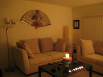 melgib5555 profile photo