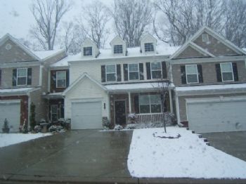 kleinrlau profile photo