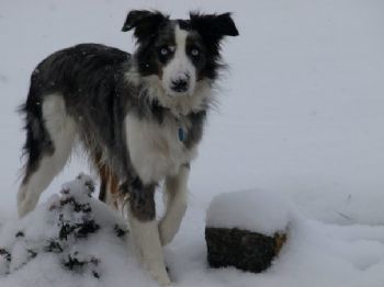 Manderz13 profile photo