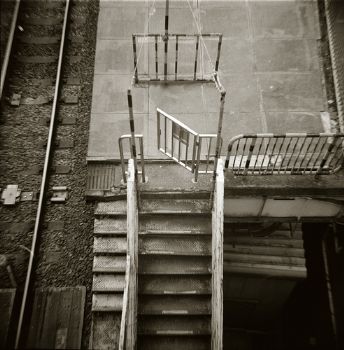 The_Land profile photo