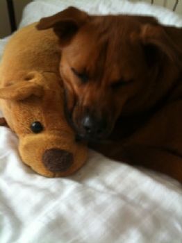 cmbilder profile photo