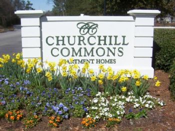 gracet profile photo