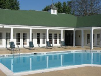 gracet profile photo