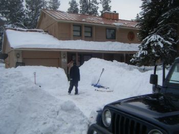 shredhead420 profile photo