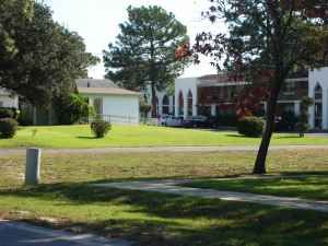 cruzreza profile photo