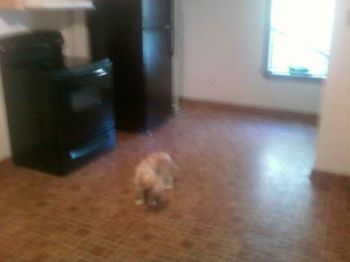 Taylorsgirl1 profile photo