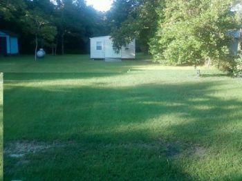 Taylorsgirl1 profile photo