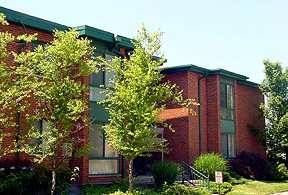 EmmySue profile photo