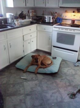 Kizzyb5 profile photo