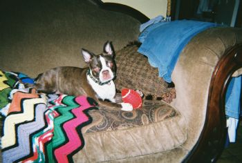 LegalEagle50 profile photo