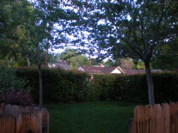 NicolaV profile photo