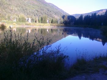 bellababe profile photo