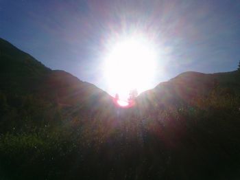 bellababe profile photo