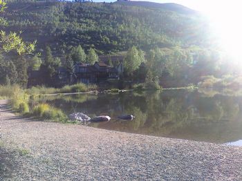 bellababe profile photo