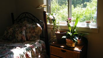 lburns profile photo