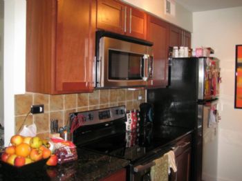 melgib555 profile photo