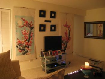 melgib555 profile photo