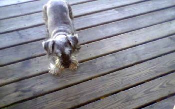 jellzey profile photo