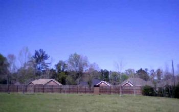 jellzey profile photo