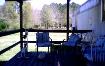 jellzey profile photo