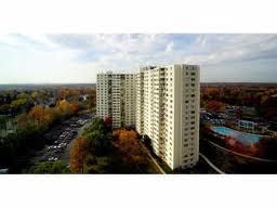 suziescooter profile photo